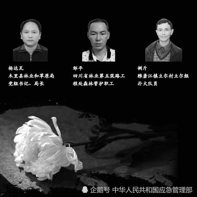 &#26032;&#21033;