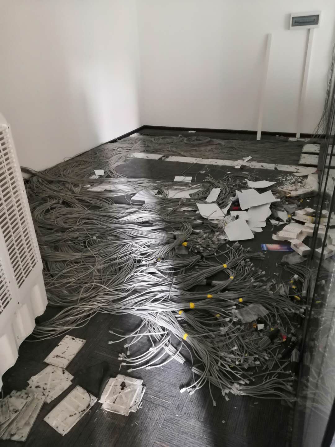 &#26032;&#21033;